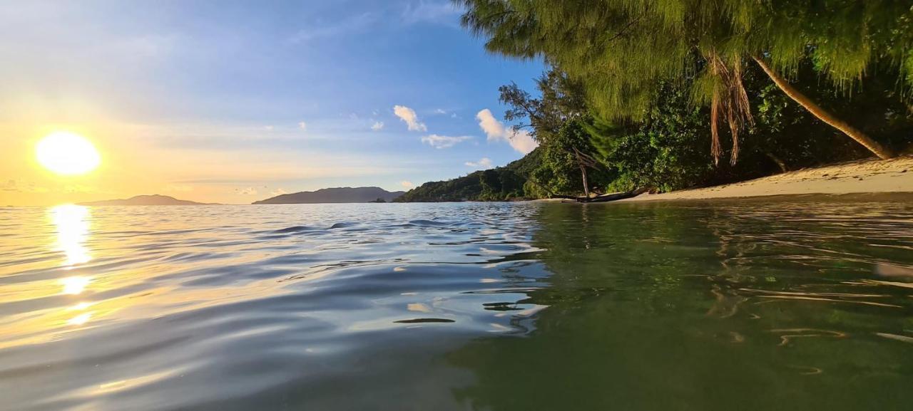 Tranquility Villas Baie Sainte Anne Екстериор снимка