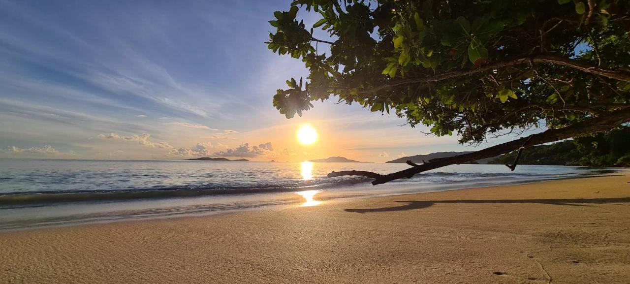 Tranquility Villas Baie Sainte Anne Екстериор снимка